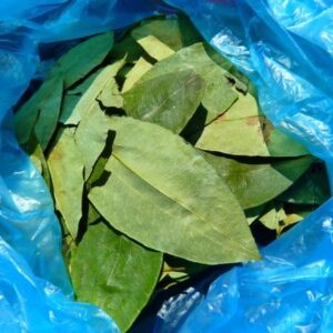 buy coca leaf